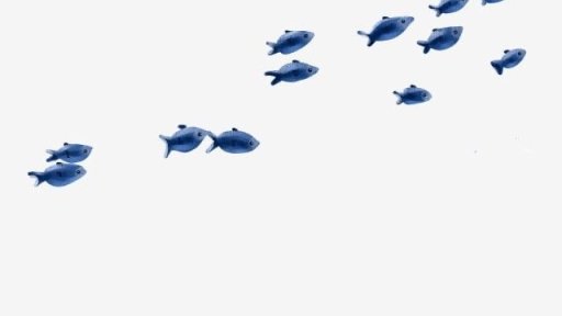 AES 30 Segerombolan Ikan (Komunitas Braga&Sekepicung)