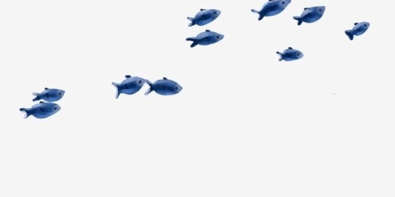 AES 30 Segerombolan Ikan (Komunitas Braga&Sekepicung)