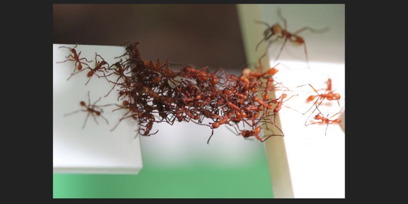 AES 082 Keberlanjutan