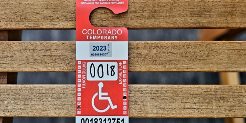 AES 817 Disabilitas