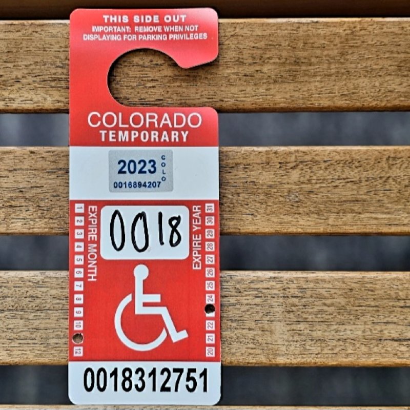 AES 817 Disabilitas
