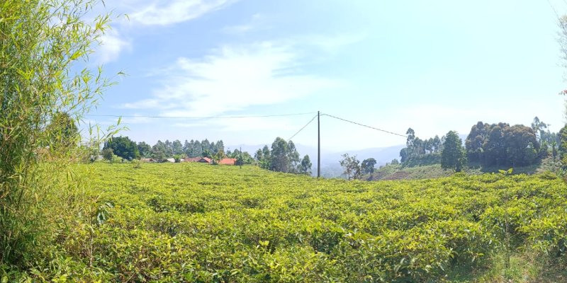 AES018 Jalan2 ke PPM Gambung 11 Agustus 2023