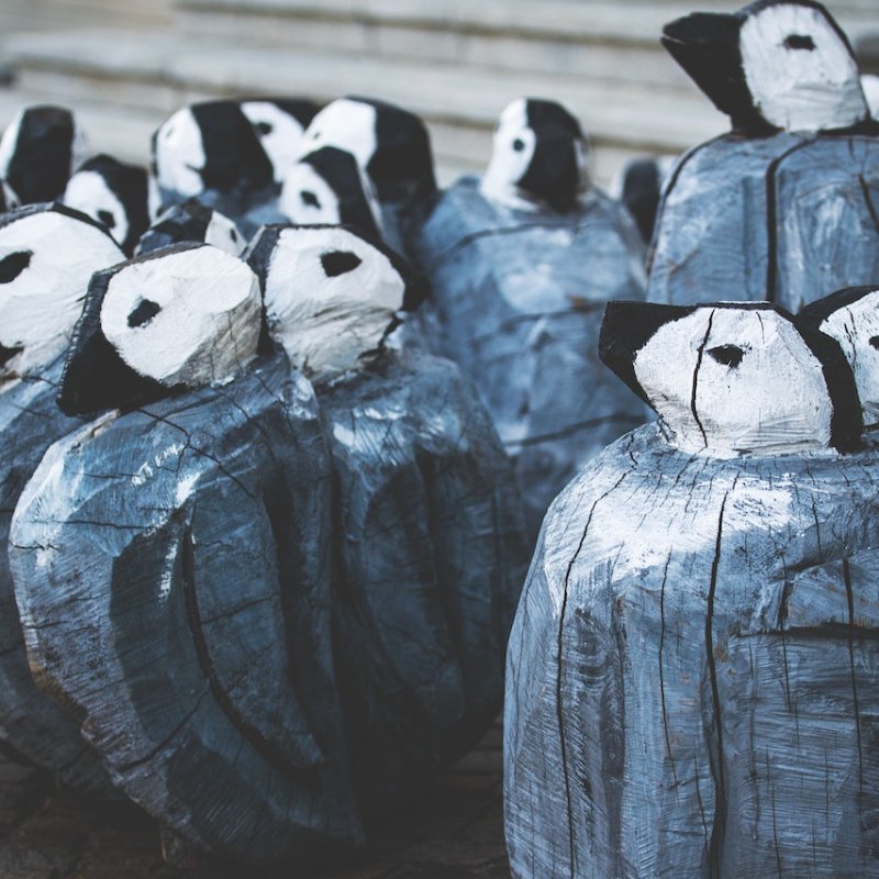 AES563 Pertanda Kepunahan Masal 