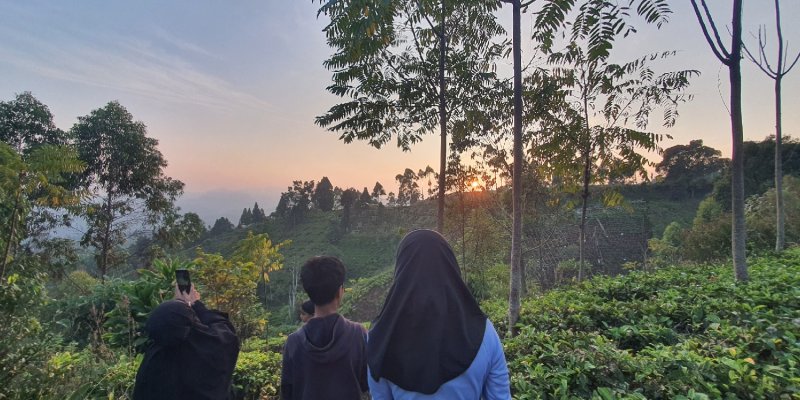 AES565 Tak Kenal maka Tak Sayang #2