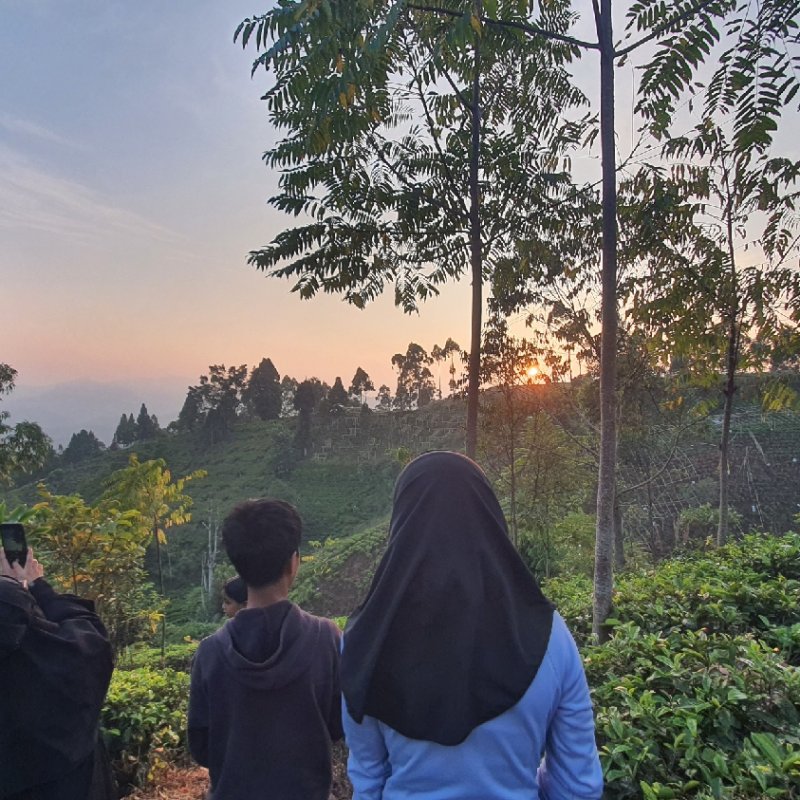 AES565 Tak Kenal maka Tak Sayang #2
