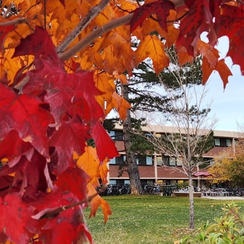 AES 847 Merah & Kuning