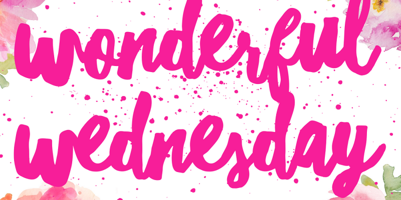 AES 857 Wonderful Wednesday