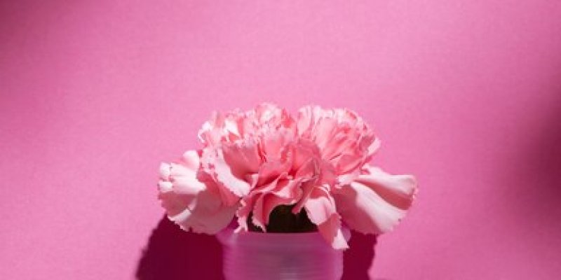 AES0004 Diatur Siklus Daur Ulang