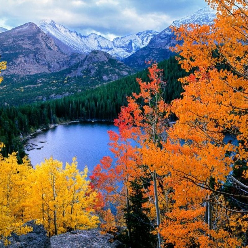 AES 871 Berjumpa Sahabat