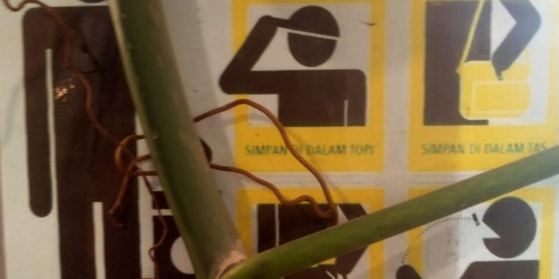 AES10 - Rustic yang asik