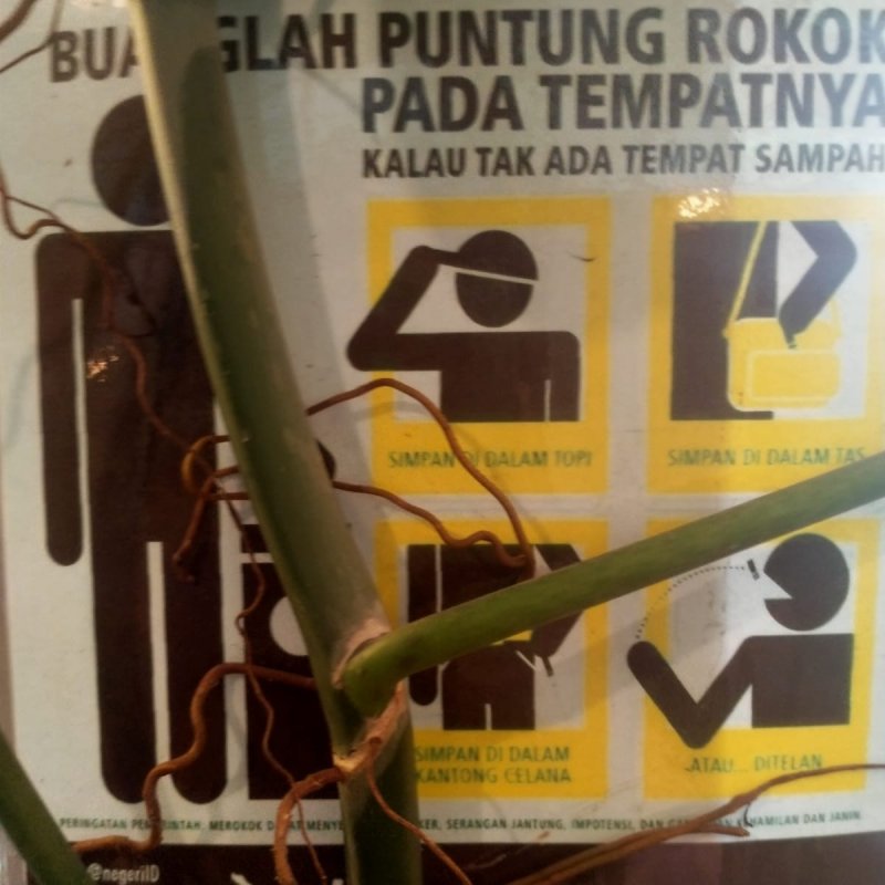 AES10 - Rustic yang asik