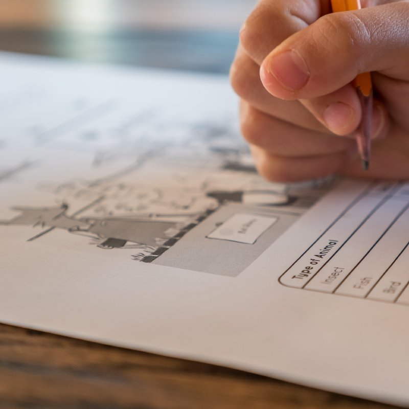 AES01 - Keseruan Hari Ini