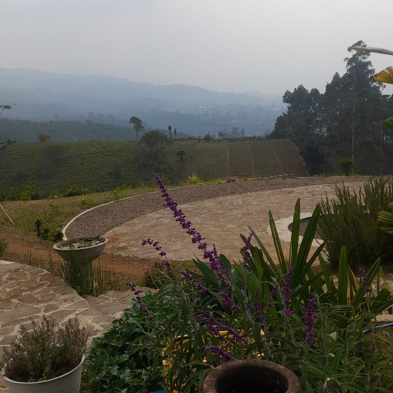 AES 9 Perjalan Saya Selama 5 Hari di Gambung