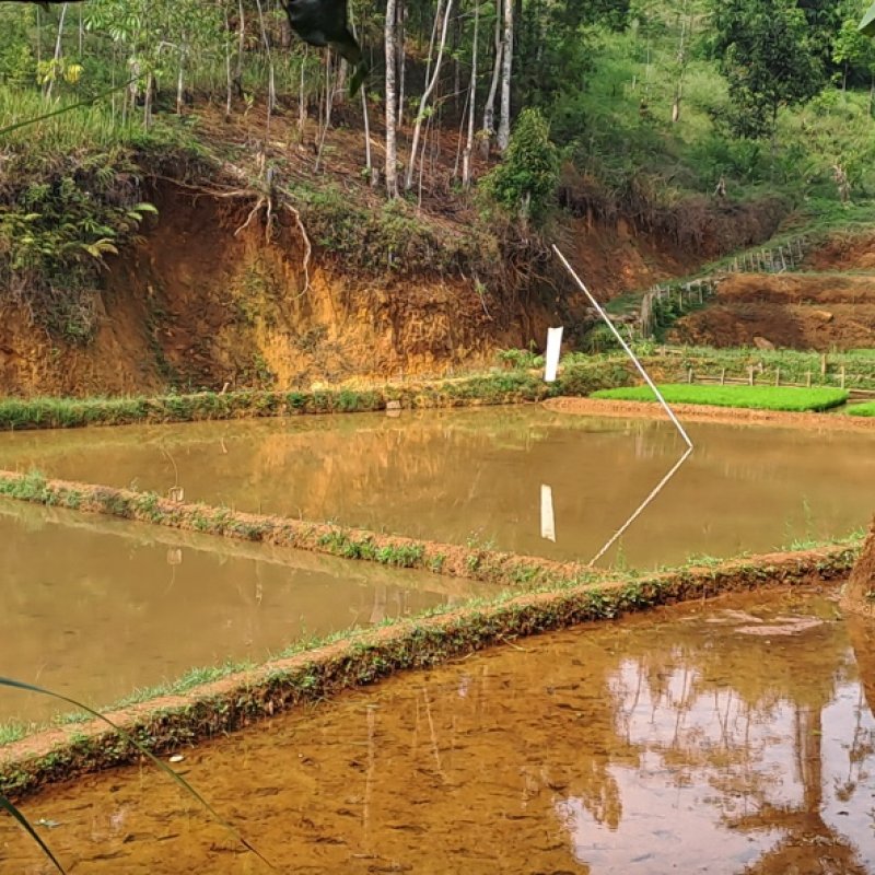 Membekas dengan Indah