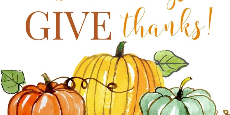 AES 913 Berterima Kasih