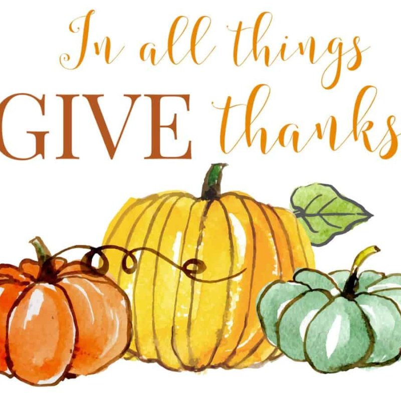 AES 913 Berterima Kasih