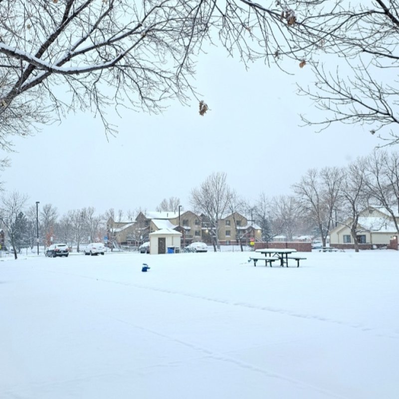 AES 915 White Friday