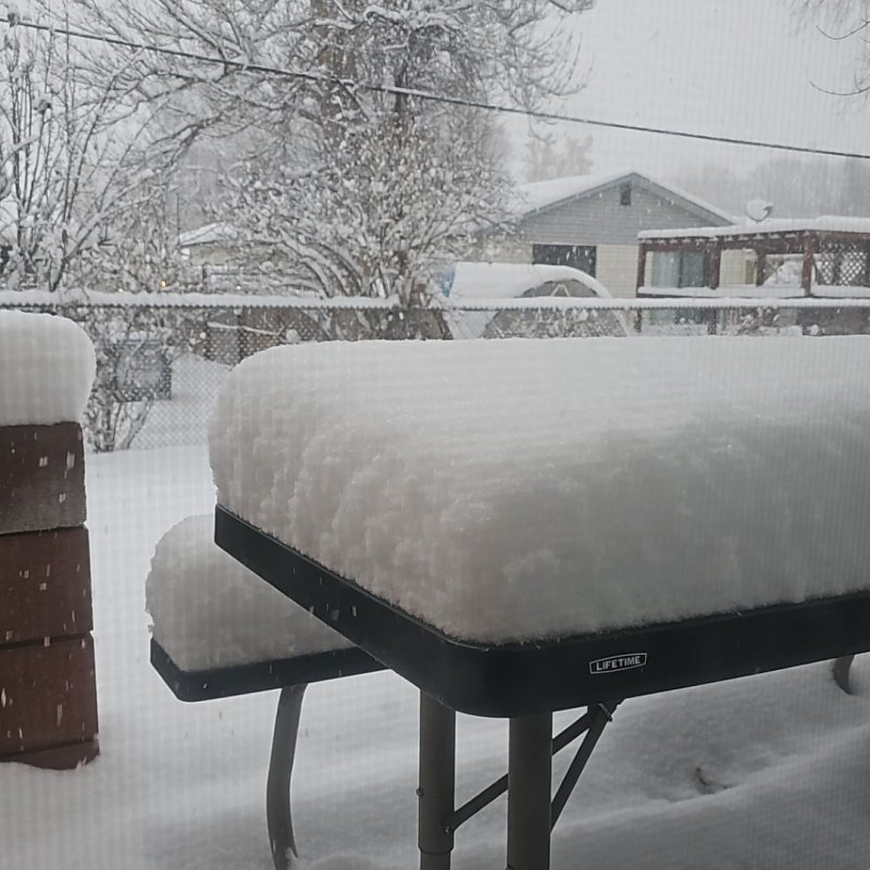 AES 916 Ingin Seperti Semula