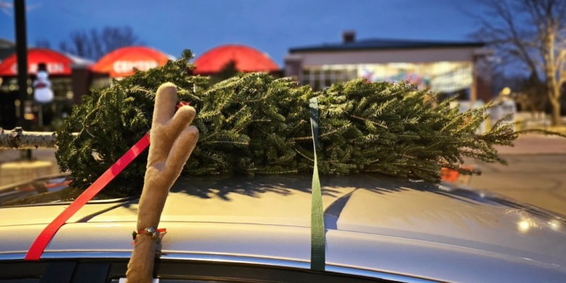 AES 929 Pohon Natal Dan CV