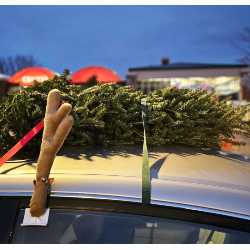 AES 929 Pohon Natal Dan CV