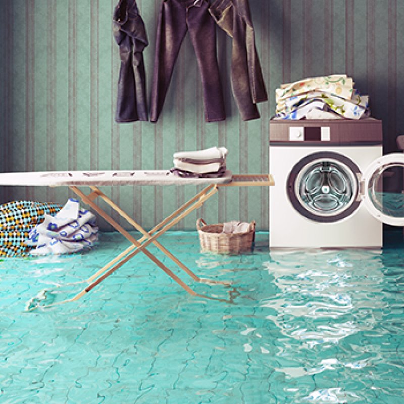 AES 934 Self Purification