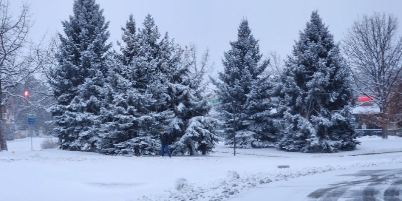 AES 942 White Christmas ?