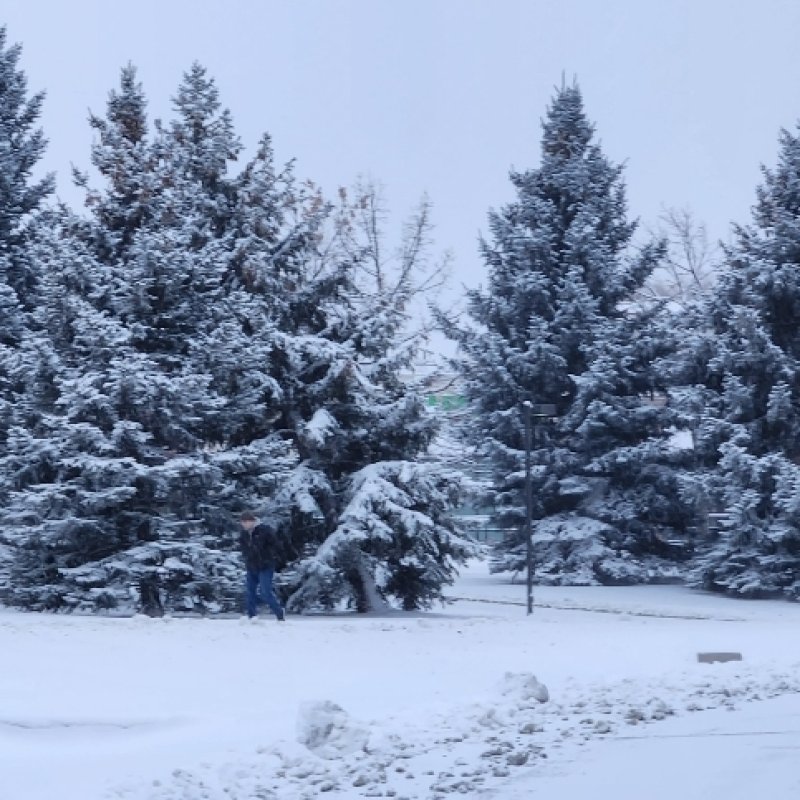 AES 942 White Christmas ?