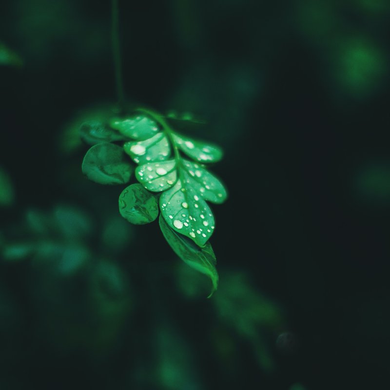 AES#48 Green Economy 