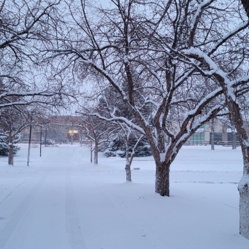 AES 947  Refleksi akhir tahun 1: Through The Year