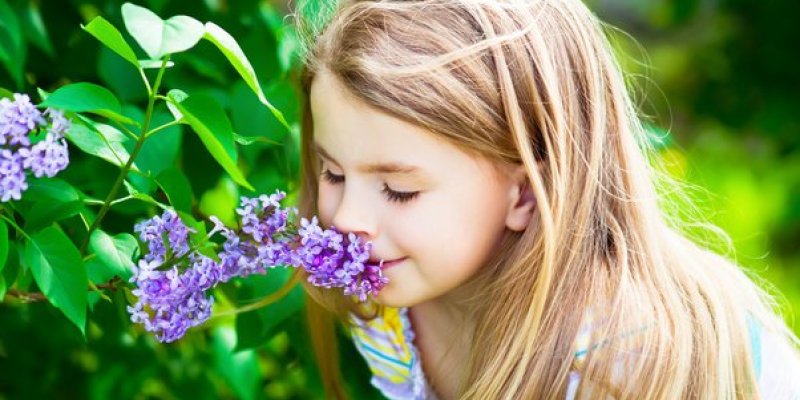 AES 949 Refleksi Akhir Tahun 3: You Never Know