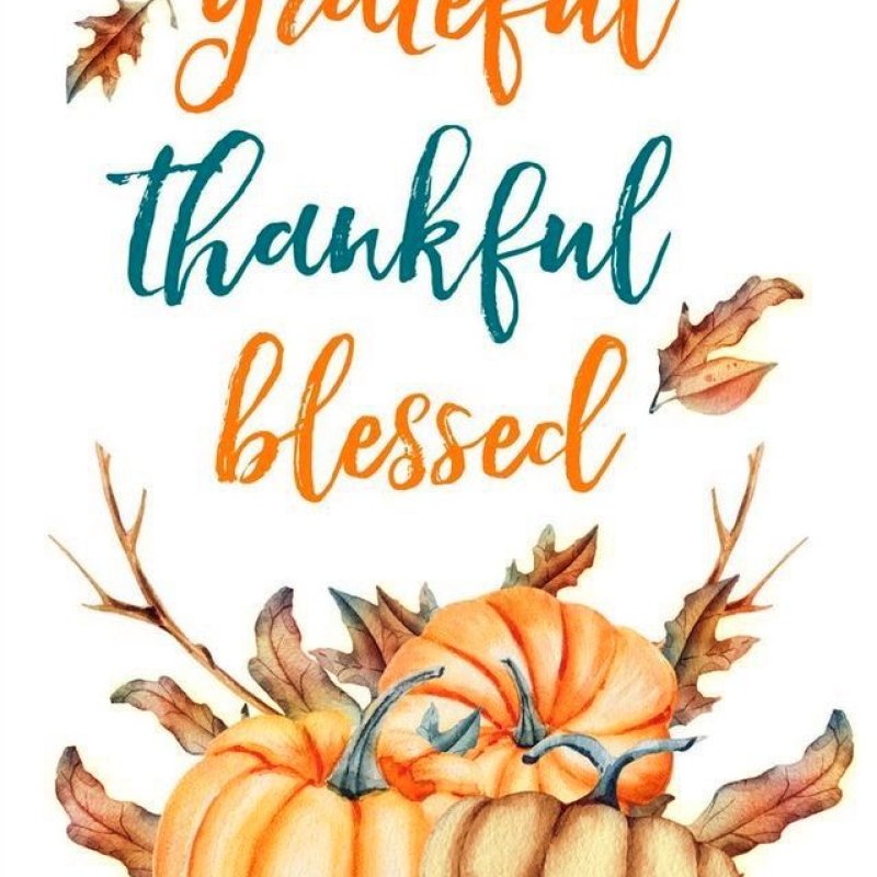 AES 951 Refleksi Akhir Tahun 5: Thankful