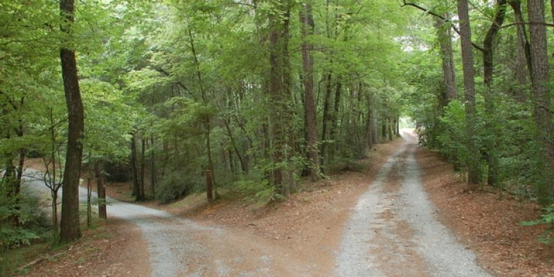 AES 975 Find Your Path