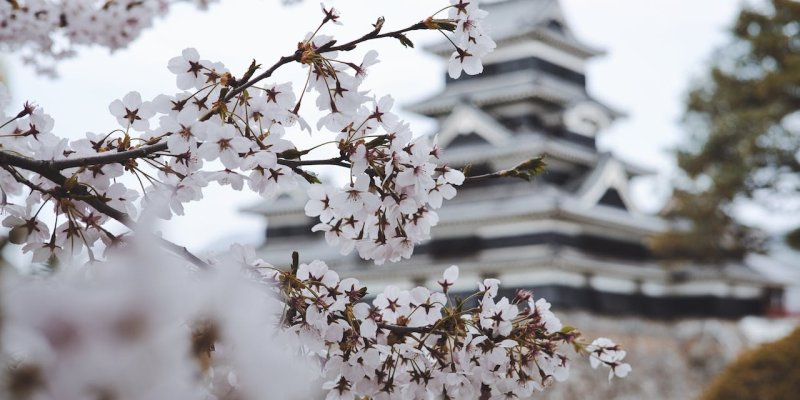 AES619 10 tahun silam di Chiba, Jepang