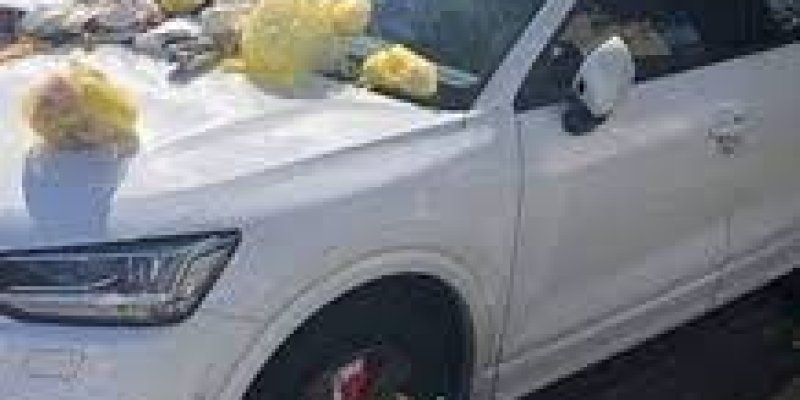 AES 998 Mobil Sampah Merk Lexus