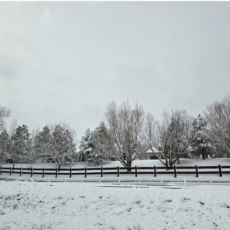 AES 1000 Seribu Petualangan Hidup