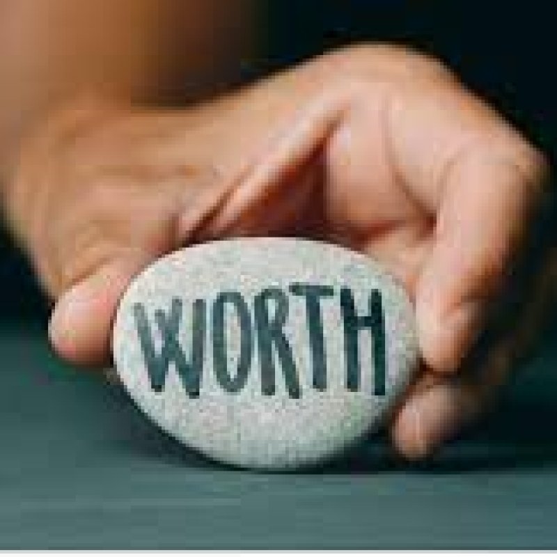 AES 1009 Your True Value