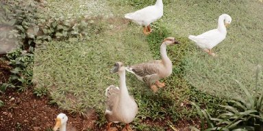 AES 25: I think it's beautiful 