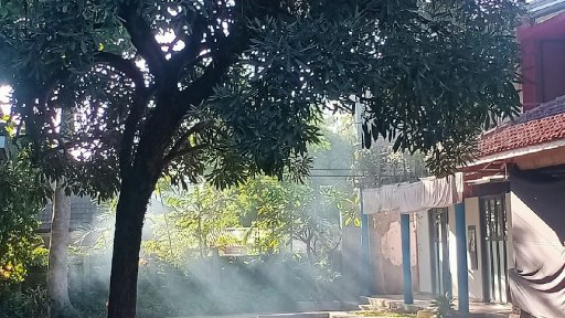 AES 001 Kegemaran dan Suara Kodok