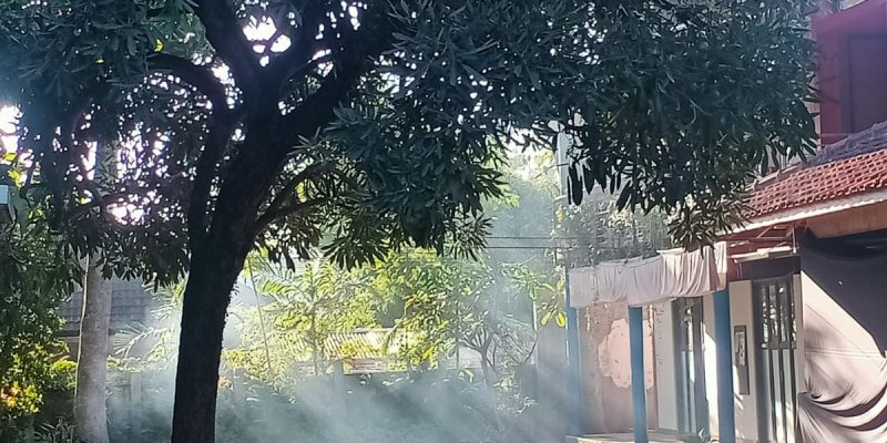 AES 001 Kegemaran dan Suara Kodok