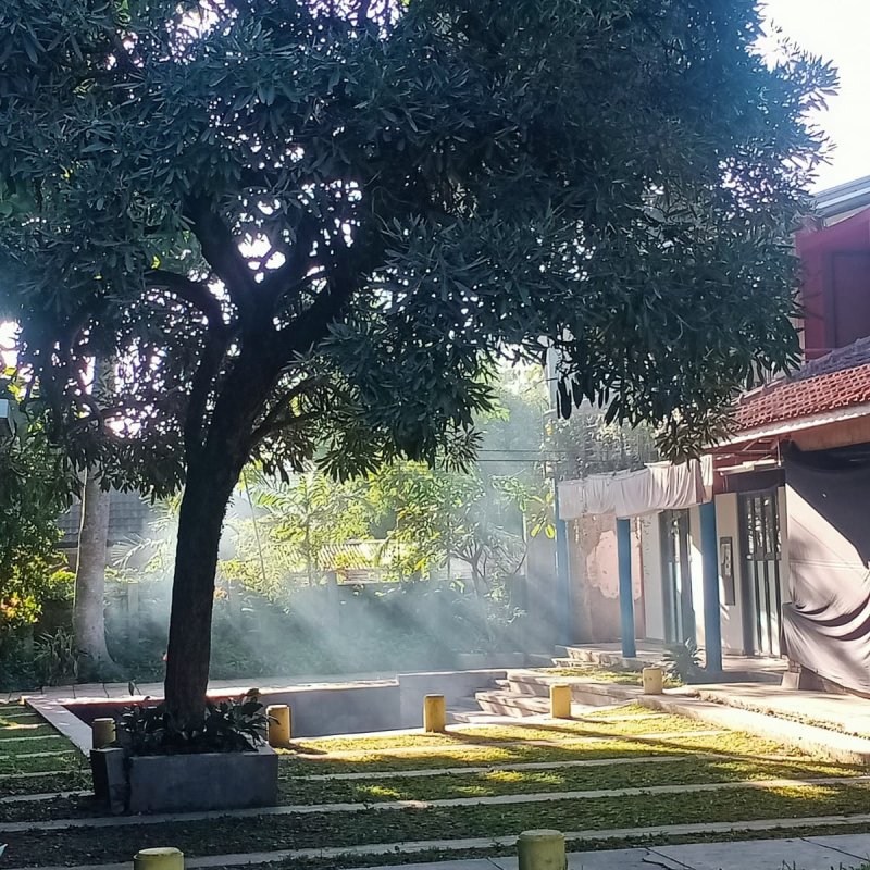 AES 001 Kegemaran dan Suara Kodok