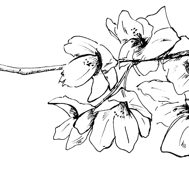 AES002 Apa yang Kita Bicarakan ketika Kita Berbicara tentang Kenangan