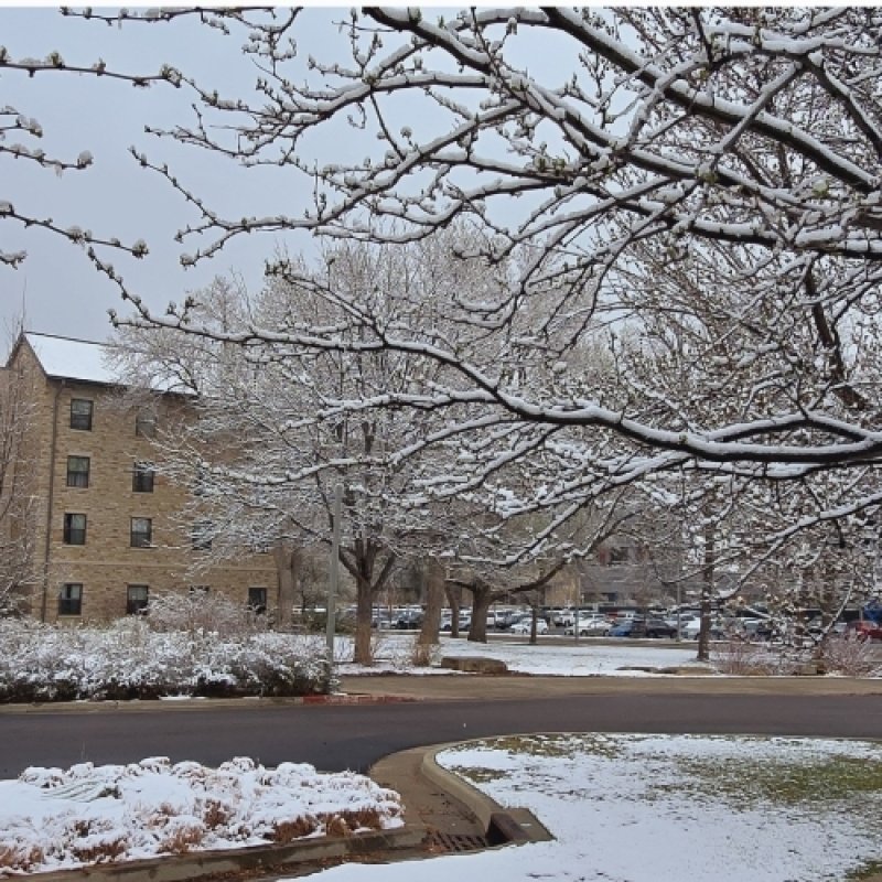 AES 1060 Salju Musim Semi