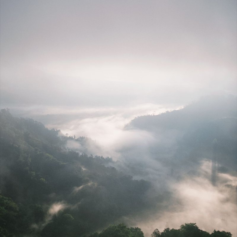 AES 29: Changes are scary