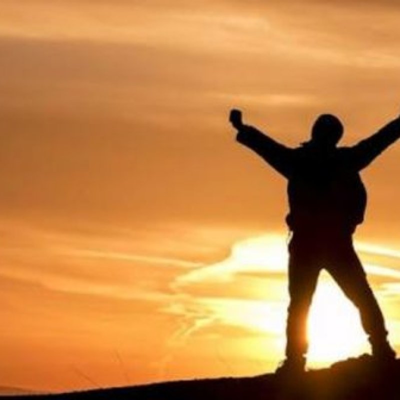 AES 1079 Alive or Living