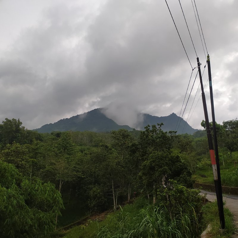 AES044 Di Balik Kotoran Sapi