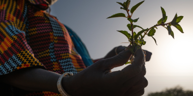 AES663 World Environment Day