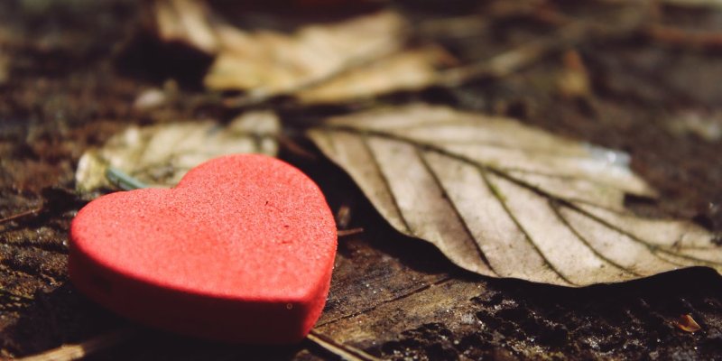 AES665 Haru Dalam Rentangan Jarak dan Waktu