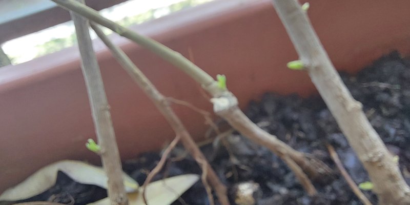 AES90 Menerima Kenyataan