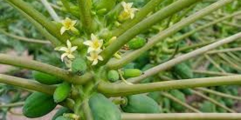 AES443 Kita Tidak Butuh Yang Membawa-bawa Nilai