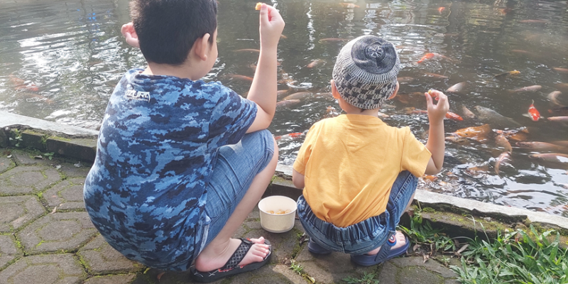 AES102 Memahami Sebelum Dipahami